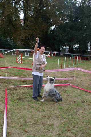 foire-haricots 2011-09-17et18